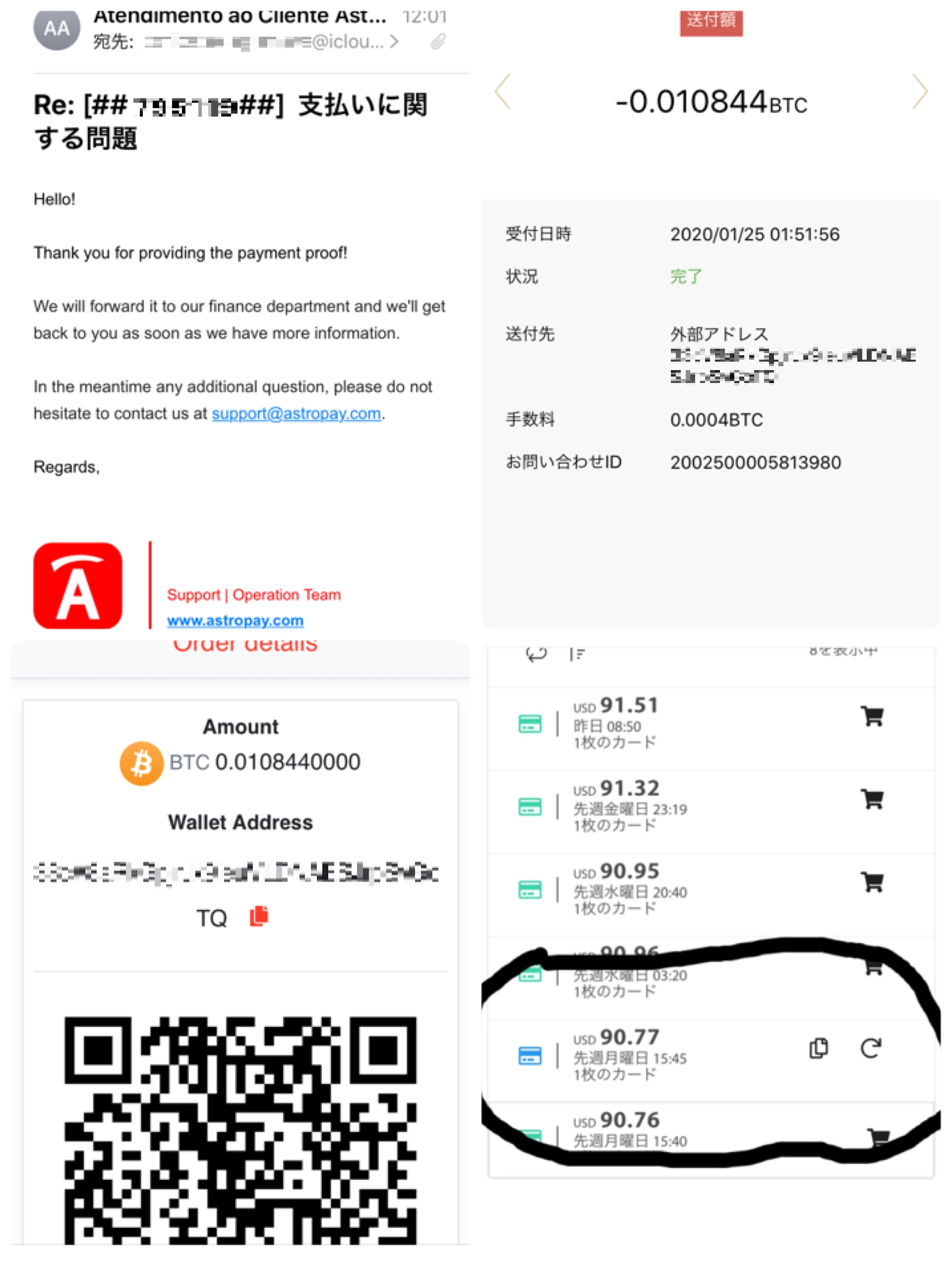投稿画像