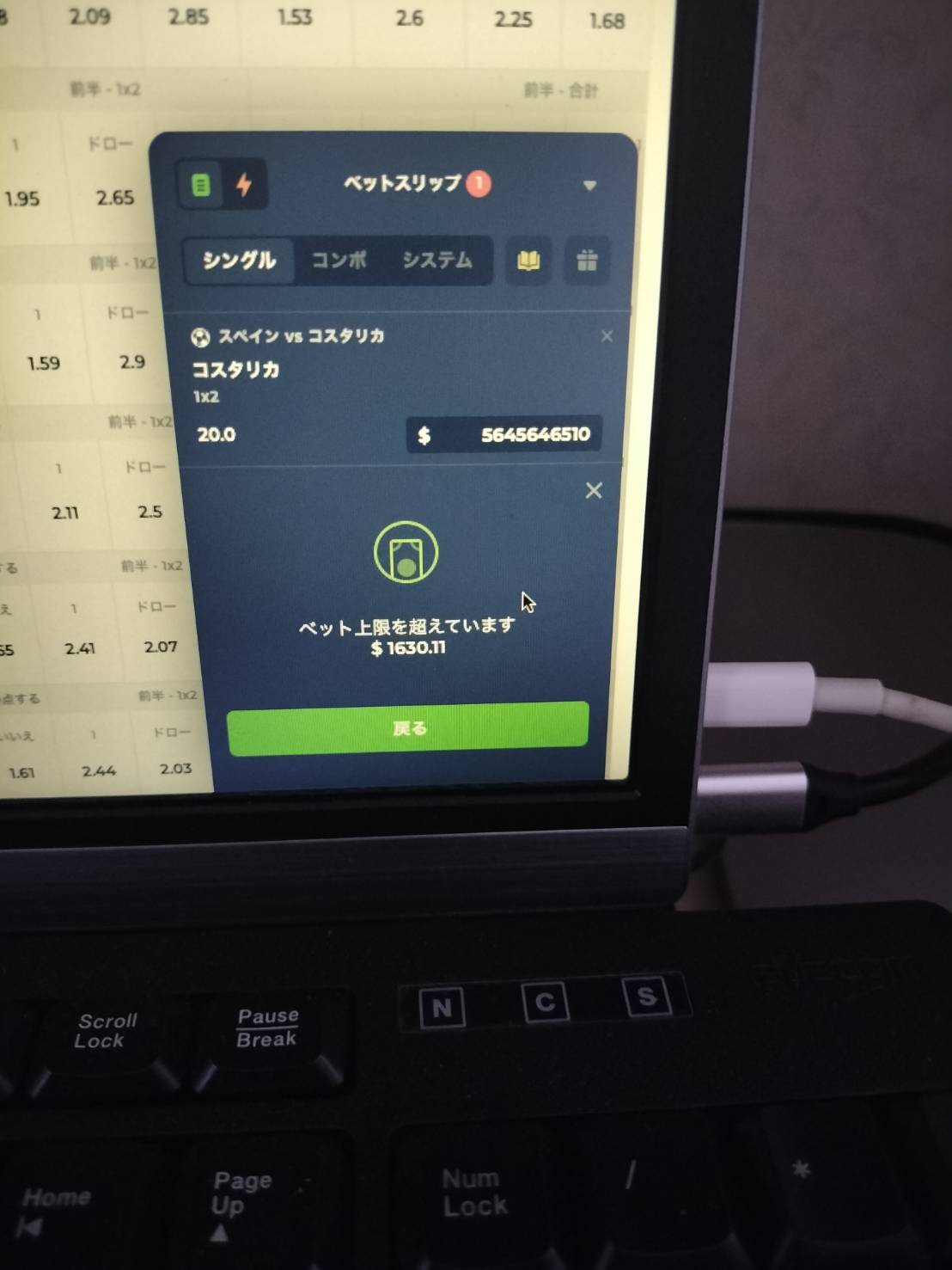 投稿画像