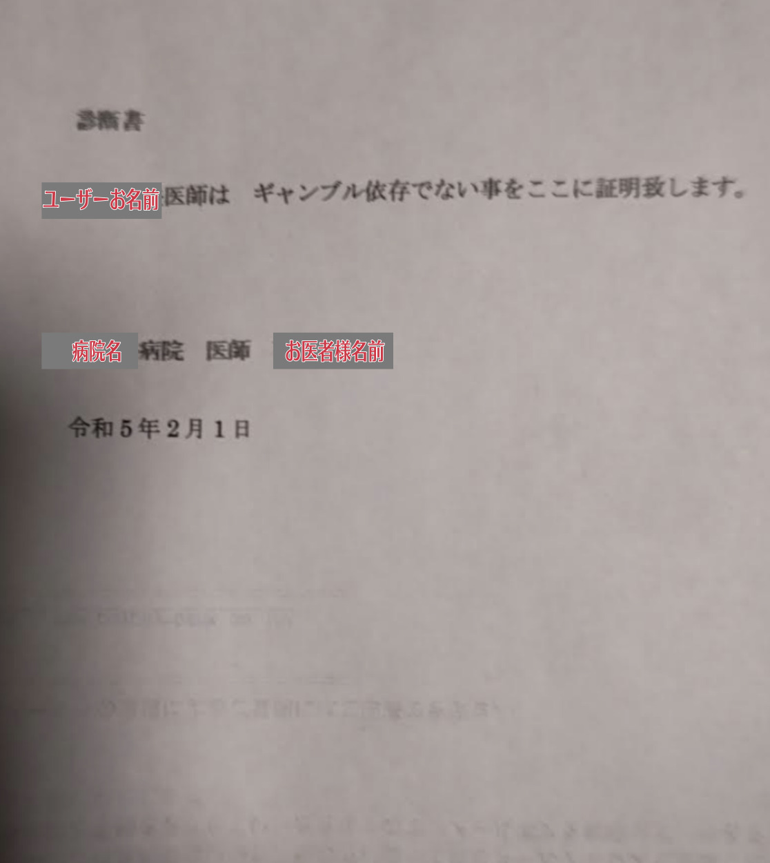 投稿画像